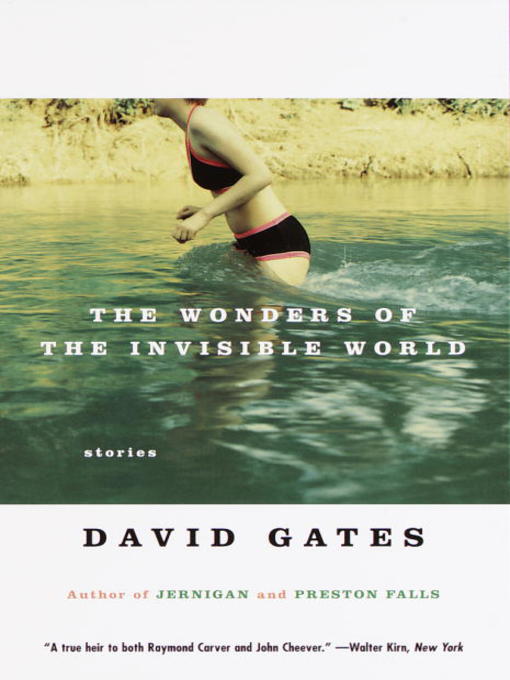 Title details for The Wonders of the Invisible World by David Gates - Available